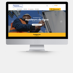 Catalogue E-Commerce inSitu